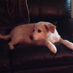 Meet your Posher, Gary